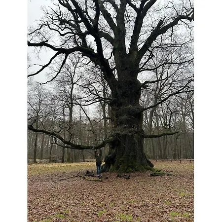 Semesterbostad With 2 Bedrooms *