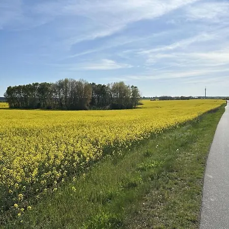 Semesterbostad With 2 Bedrooms Neu Schloen