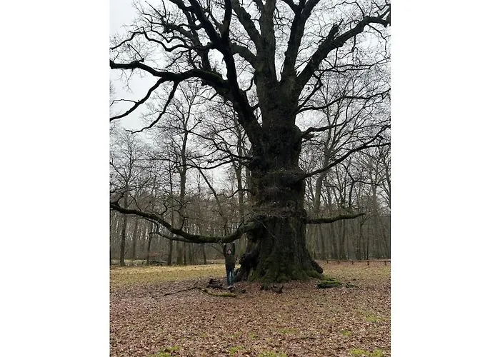 Semesterbostad With 2 Bedrooms *