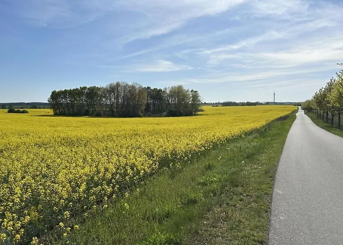 Semesterbostad With 2 Bedrooms Neu Schloen